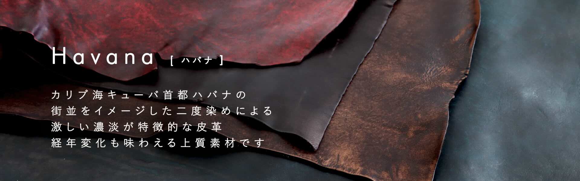 Havana_横長.jpg