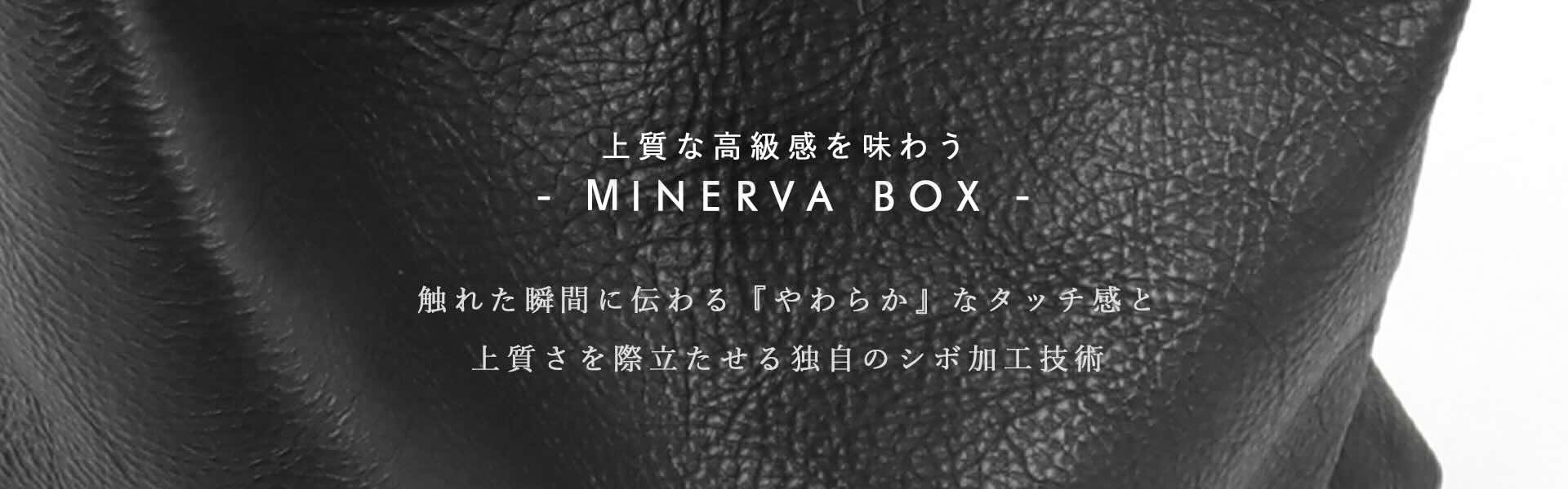 MV LEATHER