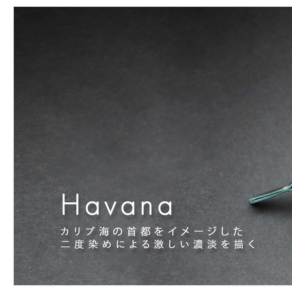 ハバナレザー_A