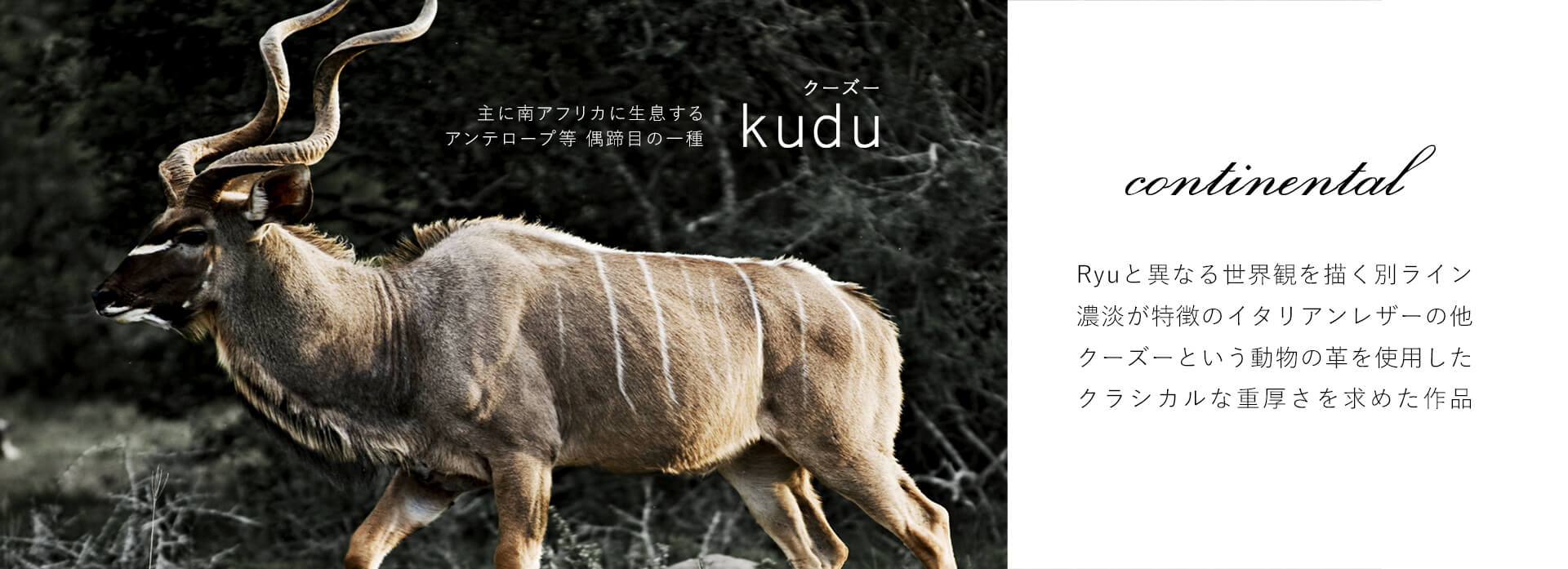 kudu